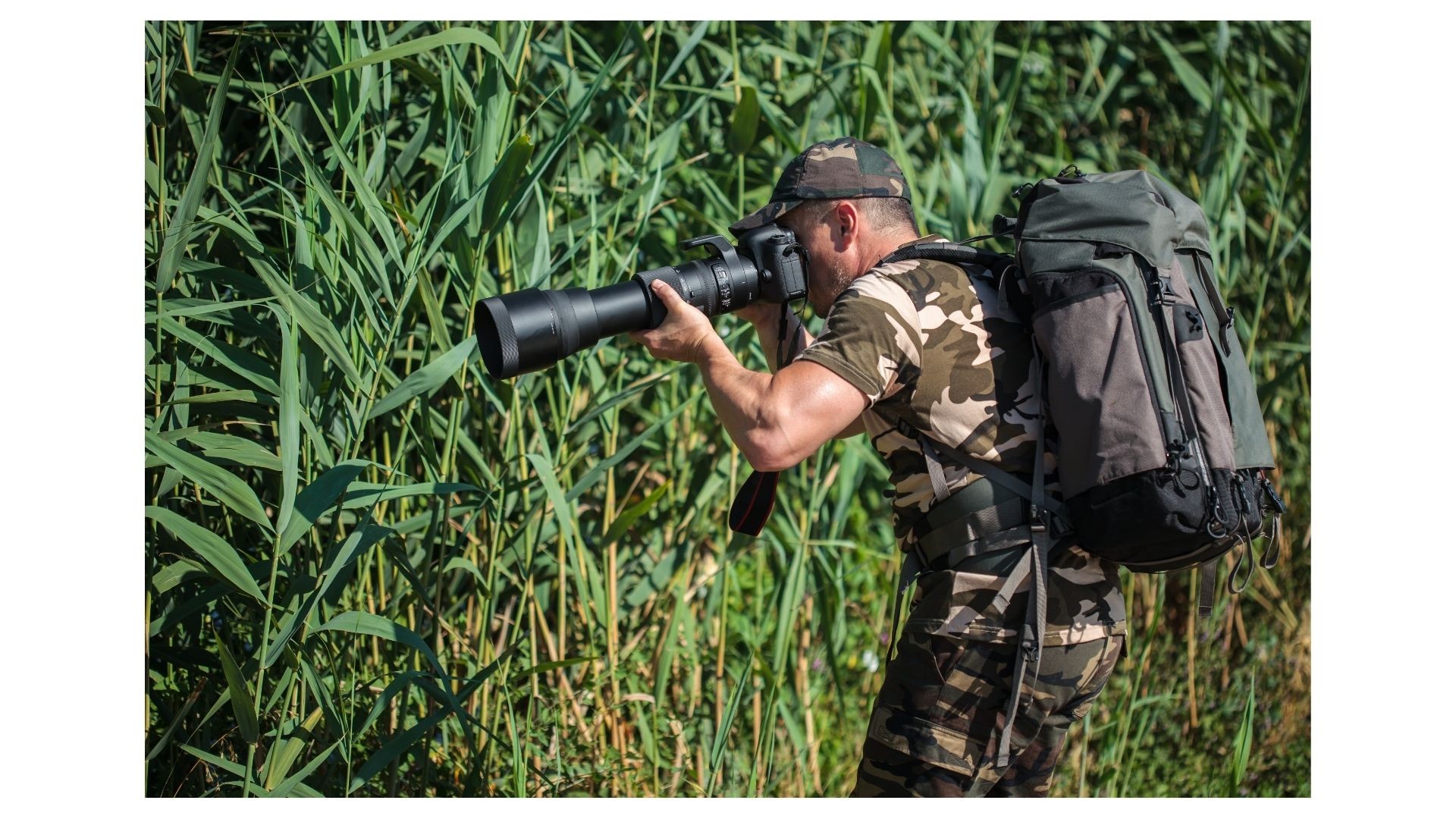 Wildlife photographer in camouflage gear using telephoto lens and backpack in dense vegetatio