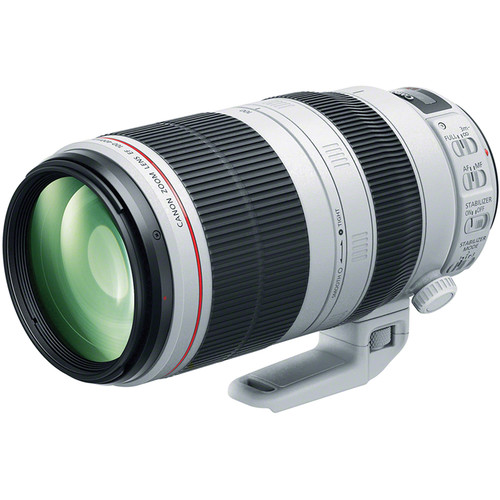 Canon EF 100-400mm f/4.5-5.6L IS II USM Lens, a great choice when choosing the best lenses for wildlife photography