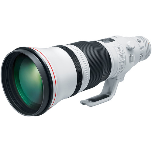 Canon EF 600mm f/4L IS III USM Lens, a great choice when choosing the best lenses for wildlife photography