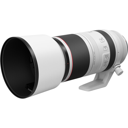 Canon RF 100-500mm f/4.5-7.1L IS USM Lens, a great choice when choosing the best lenses for wildlife photography