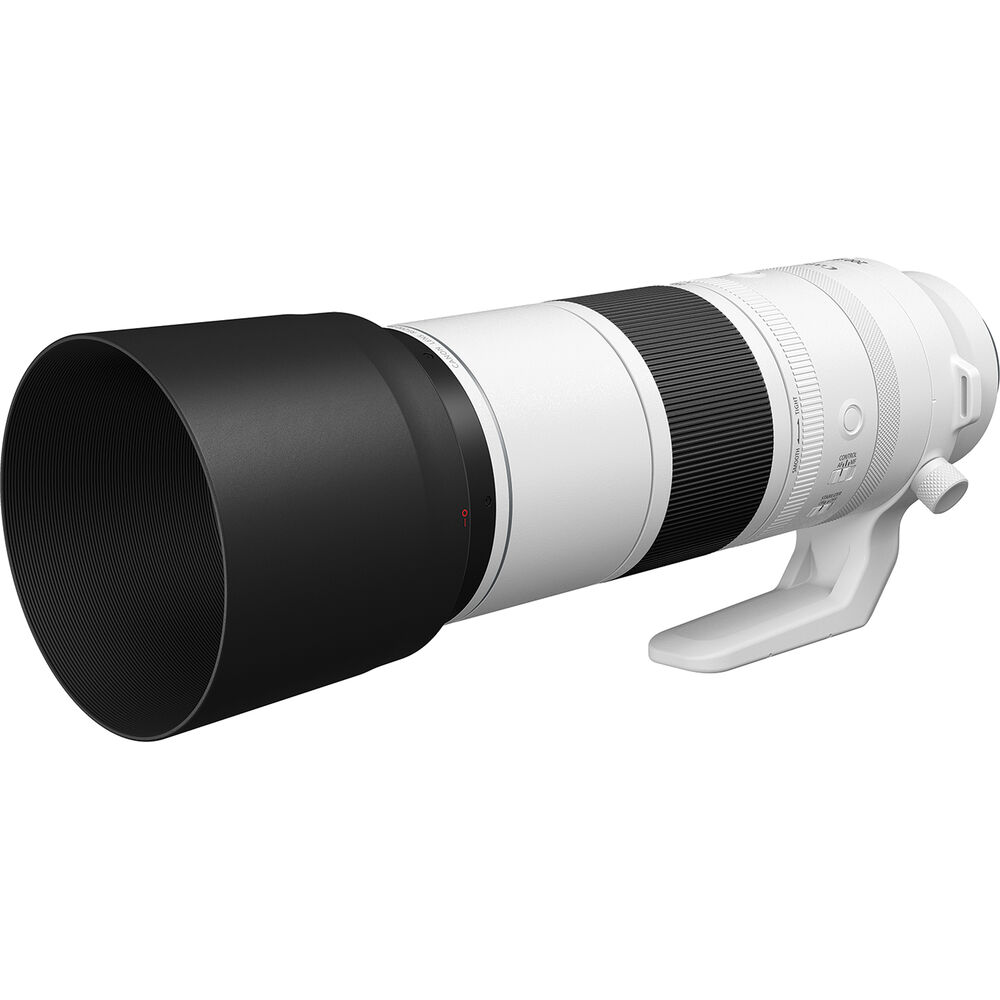 Canon RF 200-800mm f/6.3-9 IS USM Lens, a great choice when choosing the best lenses for wildlife photography
