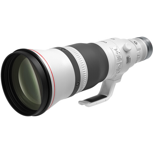 Canon RF 600mm f/4 L IS USM Lens, a great choice when choosing the best lenses for wildlife photography