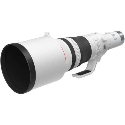 Canon RF 800mm f/5.6 L IS USM Lens, a great choice when choosing the best lenses for wildlife photography