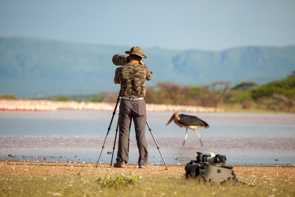 Choosing the best lenses and gear for wildlife photography is crucial for capturing those unforgettable moments!