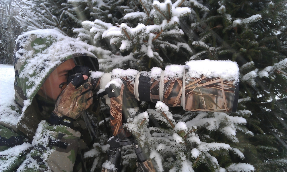 Choosing the Best Lenses for Wildlife Photography is important for capturing that image!