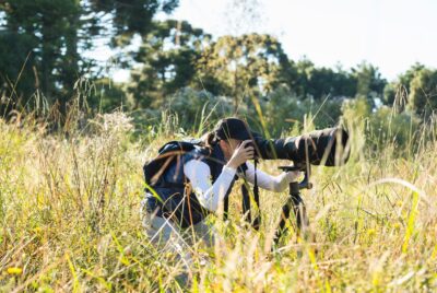 Wildlife Photographer using a Gimbal Head