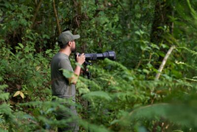 Beyond Tripods: Essential Camera Support Systems for Wildlife Photographers