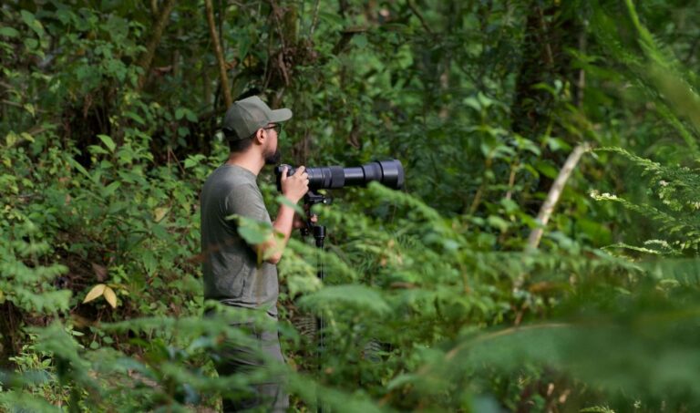 Beyond Tripods: Essential Camera Support Systems for Wildlife Photographers